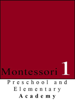 Montessori One Academy