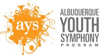AYS Logo Weblink